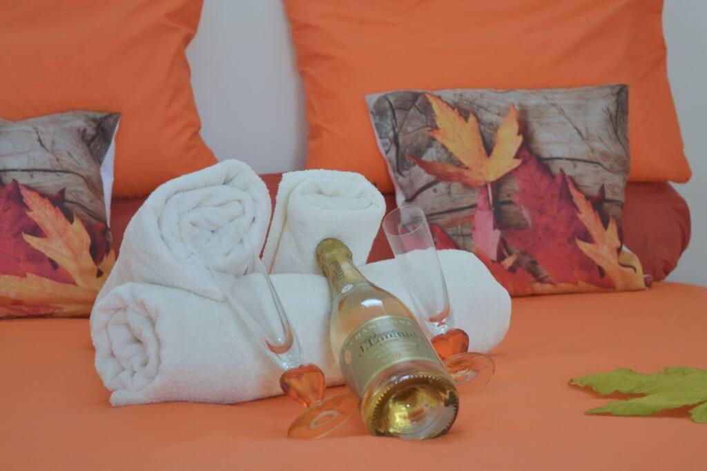 Les Villas Du Bambou - Villa Paprika Jusqu'A 6 Pers เลอโกซิเยร์ ภายนอก รูปภาพ